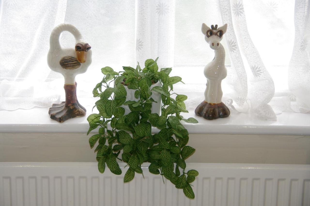 Thoroughly Relaxing Peaceful Flat Cambridge (Cambridgeshire)